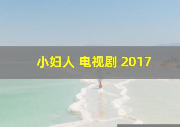 小妇人 电视剧 2017